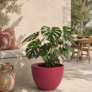 Selbstbewässerndes Pflanzgefäß „podd RÖDER“ in der Farbe Bordeaux