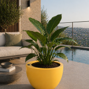 Selbstbewässerndes Pflanzgefäß “podd RÖDER” in der Farbe Gelb