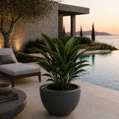 Selbstbewässerndes Pflanzgefäß „podd RÖDER“ in der Farbe Charcoal