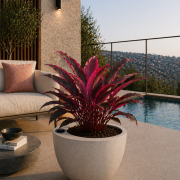 Selbstbewässerndes Pflanzgefäß „podd RÖDER“ in der Farbe Camel