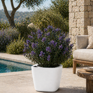 Selbstbewässerndes Pflanzgefäß „podd LOCKWITZ“ in der Farbe Weiß