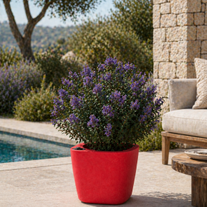 Self-watering planter “podd LOCKWITZ” in the color salmon pink