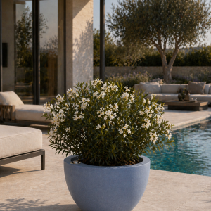 Self-watering planter “podd RÖDER” in the color dove blue nature stone