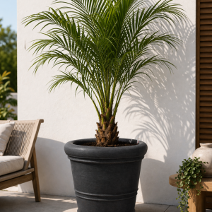 Self-watering planter “podd WEIßERITZ” in the color camel (Kopie) (Kopie) (Kopie)