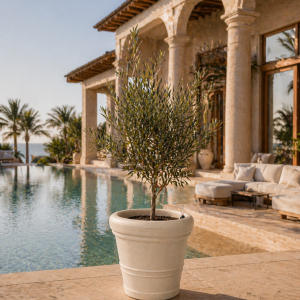 Self-watering planter “podd ELSTER” in the color camel