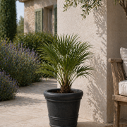 Selbstbewässerndes Pflanzgefäß „podd ELSTER“ in der Farbe Charcoal