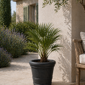 Self-watering planter “podd WEIßERITZ” in the color camel (Kopie) (Kopie) (Kopie) (Kopie)