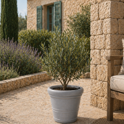 Selbstbewässerndes Pflanzgefäß „podd ELSTER“ in der Farbe Zink