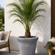 Selbstbewässerndes Pflanzgefäß „podd ELBE“ in der Farbe Zink