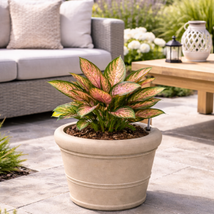 Selbstbewässerndes Pflanzgefäß „podd WEIßERITZ“ in der Farbe Camel