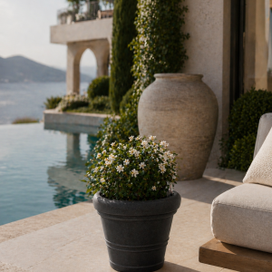 Selbstbewässerndes Pflanzgefäß „podd WEIßERITZ“ in der Farbe Charcoal