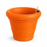 Elbe Orange